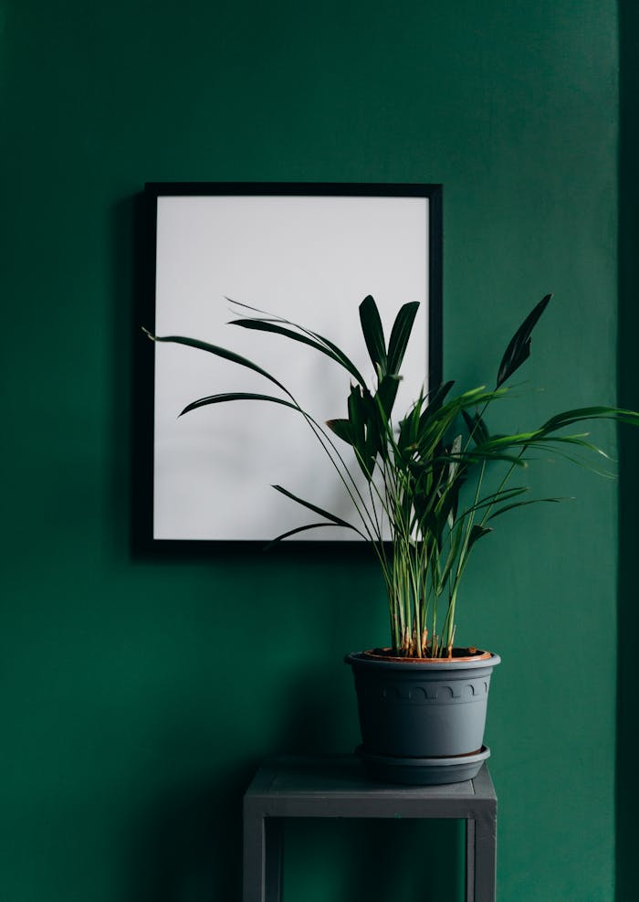 our-services-1 Stylish interior featuring a blank frame and potted plant against a green wall, perfect for design inspiration.